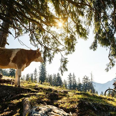 Ferienwohnung Schifterhof Ruhpolding Exteriör bild